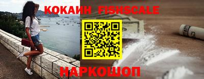 стаф Владимир
