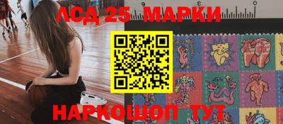 PSILOCYBIN Владикавказ