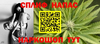 стаф Владимир