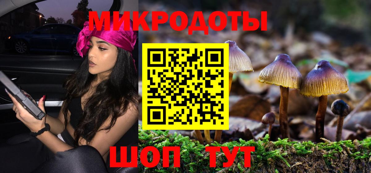 Псилоцибиновые грибы GOLDEN TEACHER Петропавловск-Камчатский